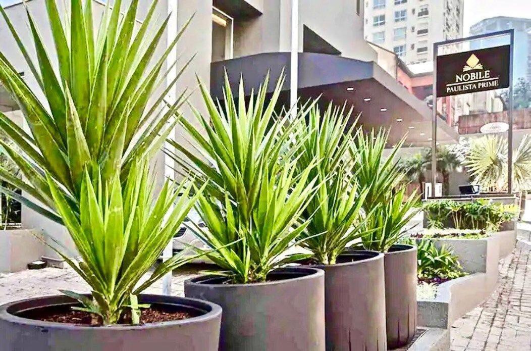 דירות סאו פאולו Flat Whynd Paulista Al Campinas 540 מראה חיצוני תמונה